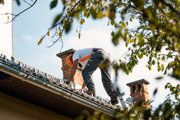 Best Commercial Roofing Services  in Erie, IL