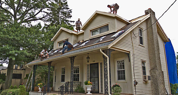 Best Residential Roofing Contractor  in Erie, IL