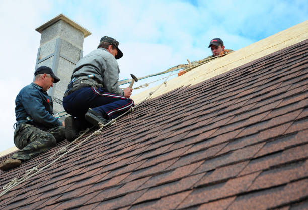 Best New Roof Installation  in Erie, IL
